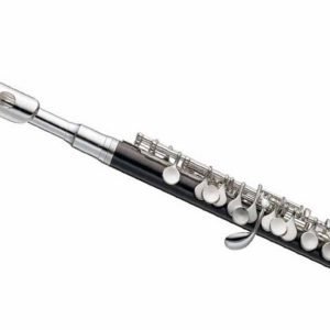 Flauta Piccolo Do Blessing Con Estuche ABS 6458IS