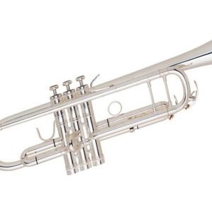 Trompeta Sib Blessing con Estuche 6418N