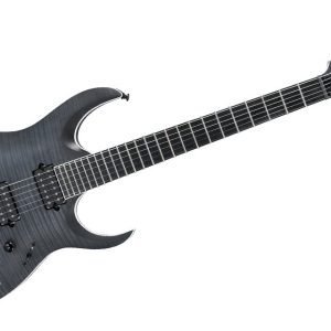 Guitarra Eléctrica Ibanez  Iron Label RGAIX6FM-TGF