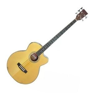 Bajo Electroacústico de 5 Cuerdas Danwood B5EQ