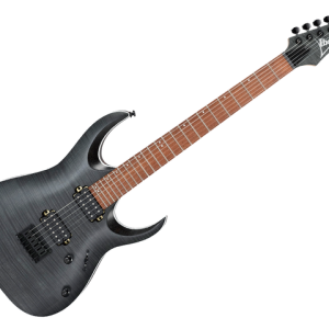 Guitarra Eléctrica Ibanez "RGA" Gris RGA42FM-TGF